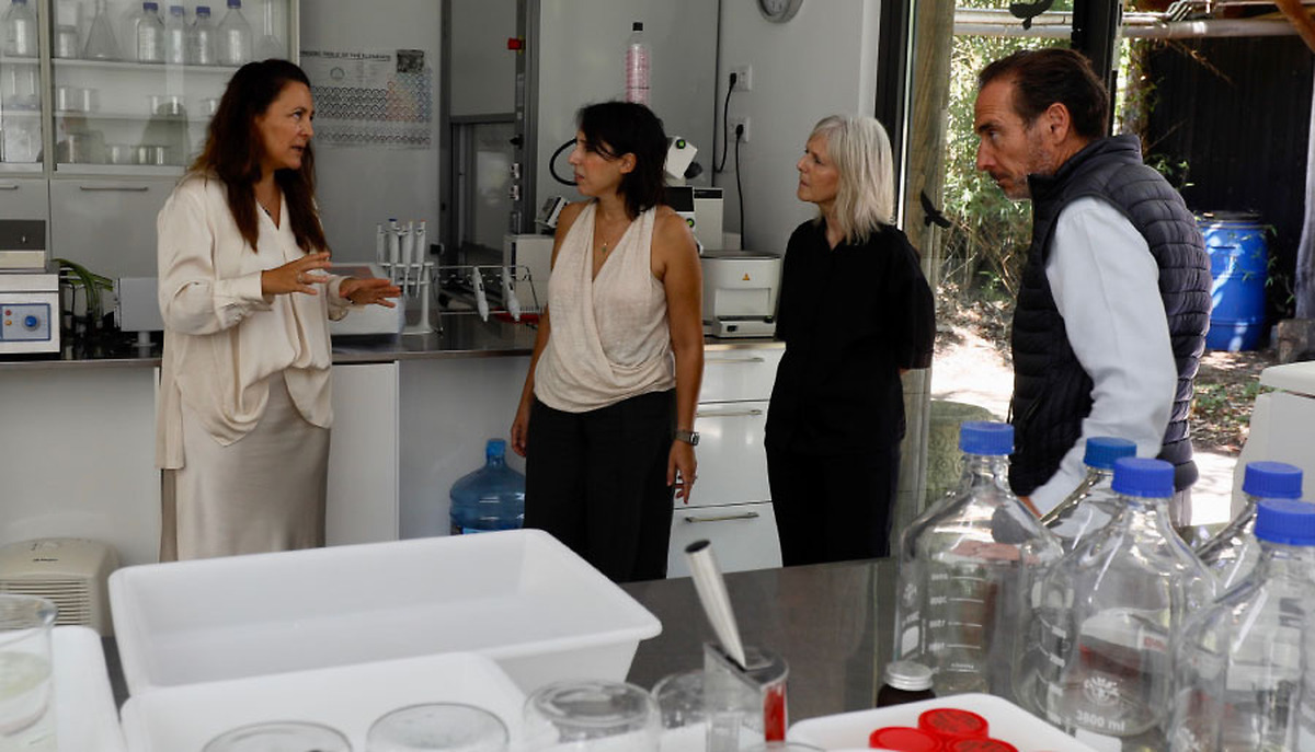 Galicia destina casi 15 millones de euros en ayudas para impulsar la innovación empresarial