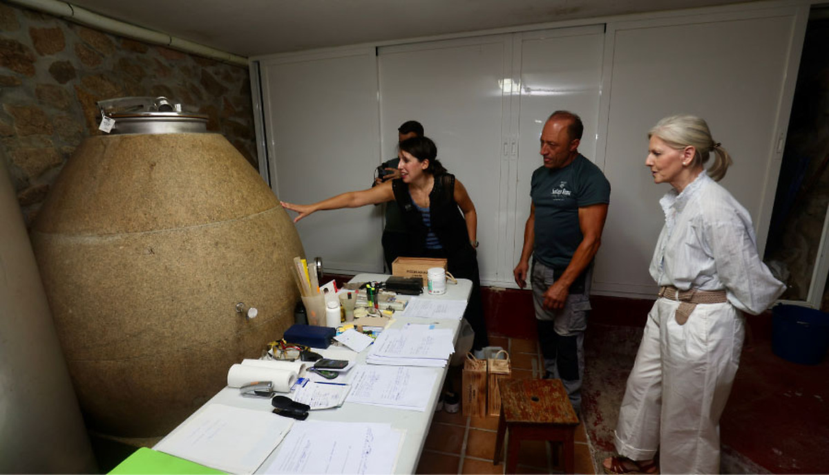La Xunta mantiene abierta la línea de préstamos de 2 millones de euros para bodegas gallegas hasta el 16 de diciembre